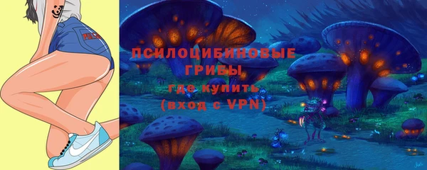 трава Богородицк