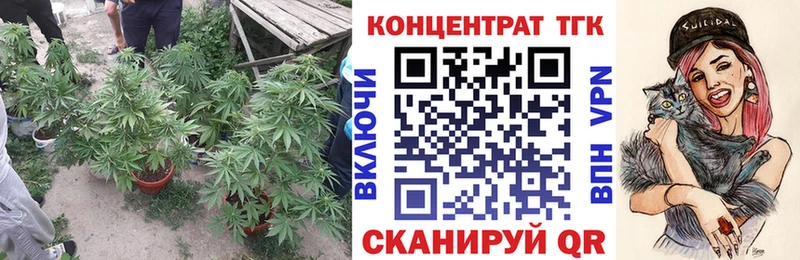 ТГК концентрат Тула