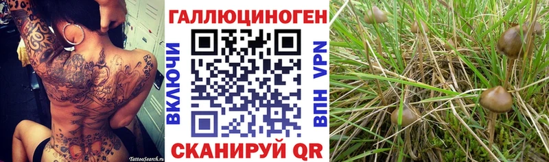 Псилоцибиновые грибы Cubensis  наркота  Тула 